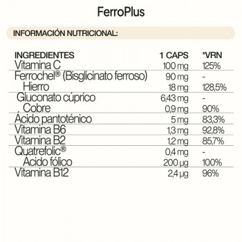 IVB Ferroplus 90 cápsulas